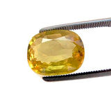 sapphire yellow jewel cushion cut genuine extra quality